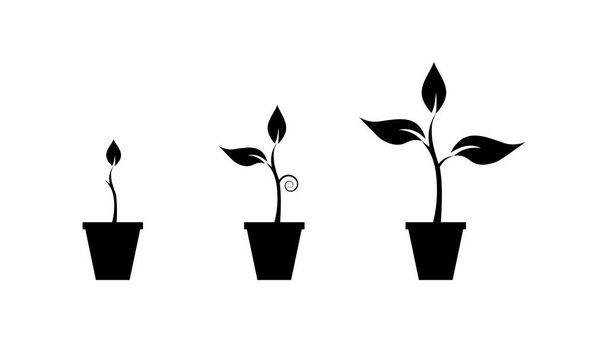 Étape de croissance de la plantule dans des vases de couleur noire et blanche
 - Vecteur, image