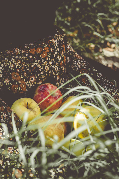 Retrato de otoño. Retrato de una hermosa mujer del medio oriente en el jardín de manzanas. Joven hembra posando en la naturaleza con frutas de manzana recién recogidas en otoño. Mujer manzana
 - Foto, imagen