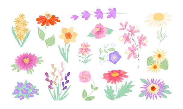 Velký soubor letních kvetoucích rostlin, květin. - Vektor, obrázek