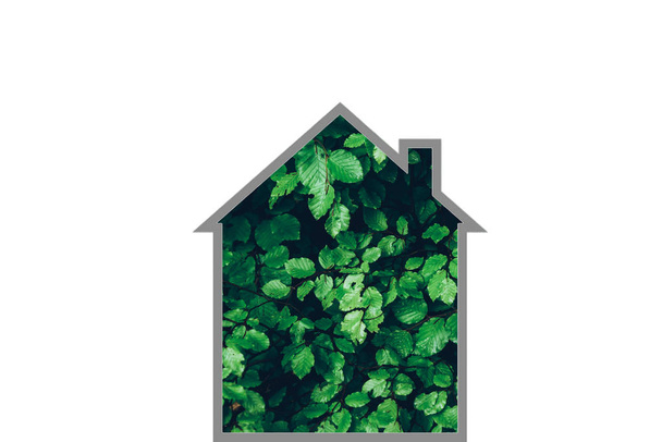green sustainable building- green finance - green renewable sustainable economy - Foto, Imagen