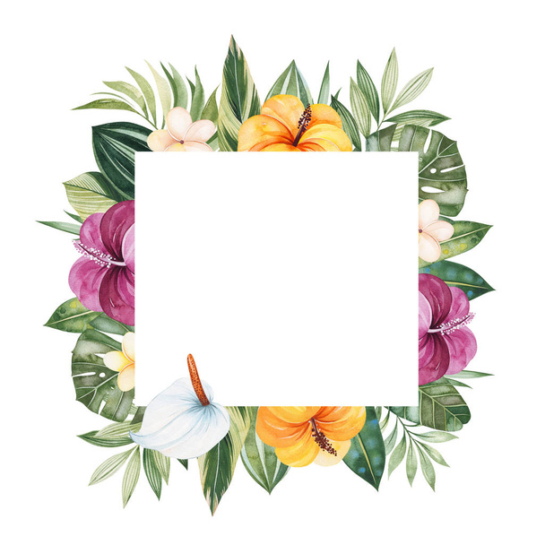 quadro de folhas tropicais verdes e flores isoladas no fundo branco
 - Foto, Imagem