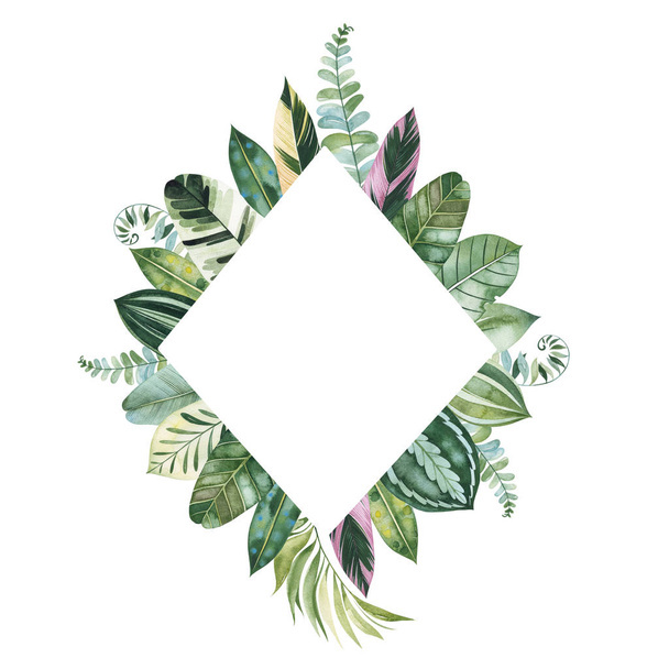 marco de hojas tropicales verdes aisladas sobre fondo blanco
 - Foto, imagen