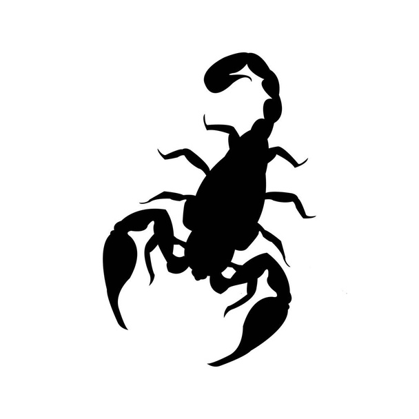 Escorpión - silueta animal icono plano
 - Vector, imagen