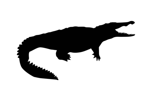 Sílhueta de crocodilo
 - Vetor, Imagem