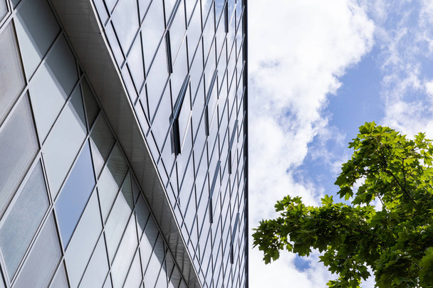 ガラスのファサードを持つ背の高いビジネスセンターの壁は、孤独な木と空の背景. - 写真・画像