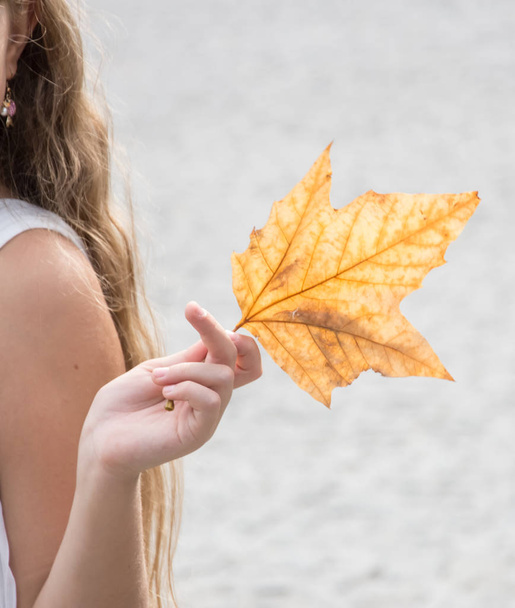  niña sosteniendo una gran hoja de otoño
  - Foto, Imagen