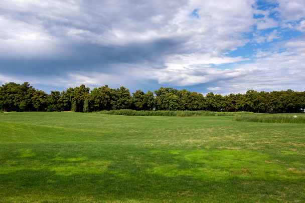 холмистая поляна с зеленой лужайкой, освещенной солнечным светом в летний облачный день на фоне тростника и лиственных деревьев
. - Фото, изображение
