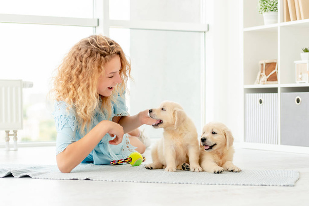 Girl relaxing with retriever puppies - 写真・画像