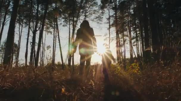 Silhuetas de uma mulher e uma criança caminhando pela floresta
 - Filmagem, Vídeo
