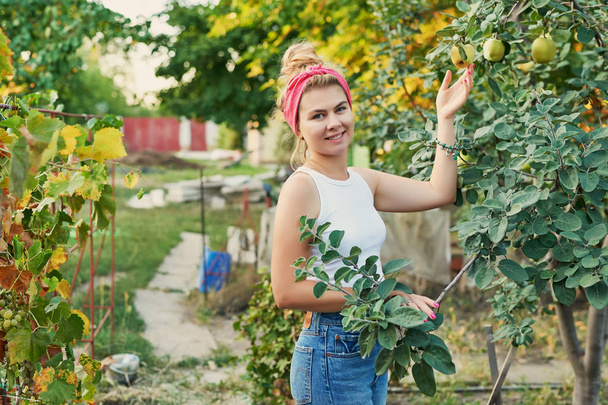 zbiorów w ogrodzie, Dziewczyna wybiera winogrona i jabłka - Zdjęcie, obraz