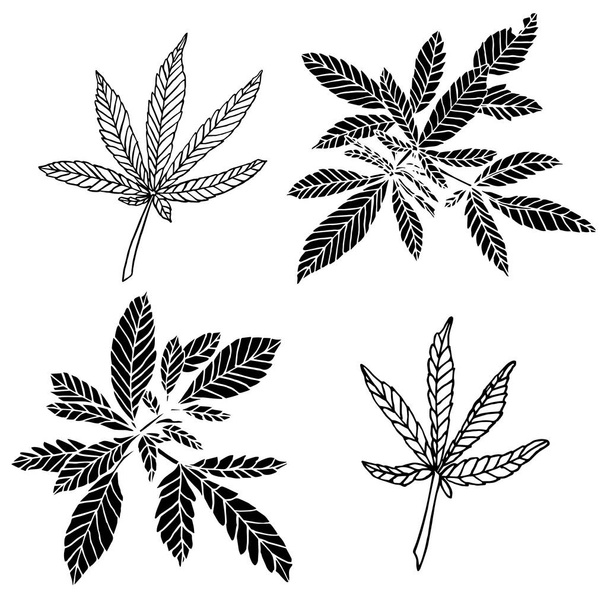 Decorative black trafaret set branch of big hemp and leaves - Fotó, kép