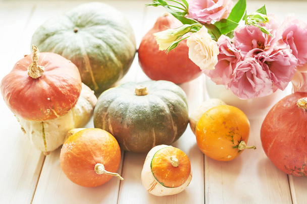 pumpkins with flowers on white wooden background for thanksgiving or halloween - Foto, imagen