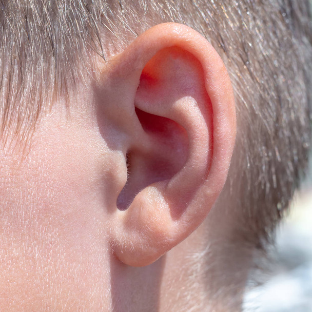 adolescent garçon macro fermer les oreilles
 - Photo, image