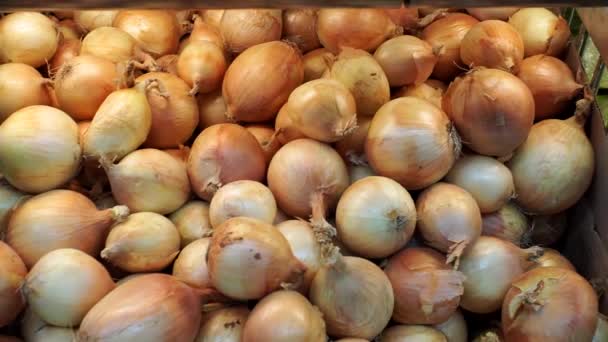 λαχανικών με κρεμμύδι στον πάγκο του υπερεμπορεύσιμου φόντου - Πλάνα, βίντεο