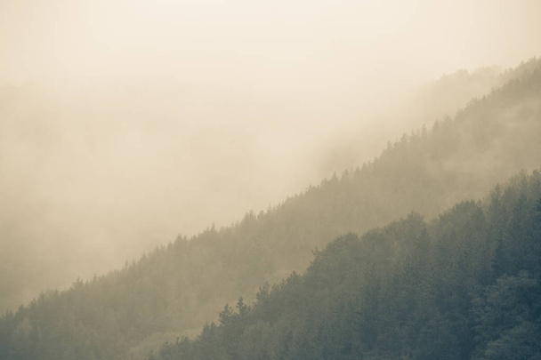 Осенний туманный холодный фон гор
 - Фото, изображение