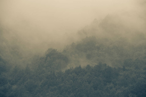 Осінній туманний гірський холодний фон
 - Фото, зображення
