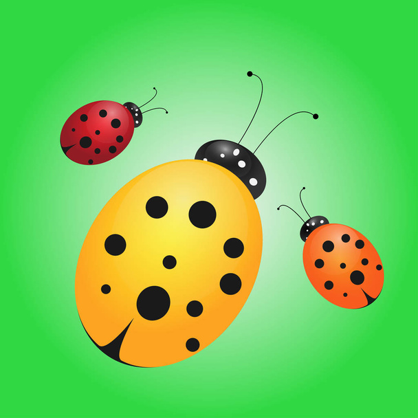 Ladybird illustration - Vector, Image