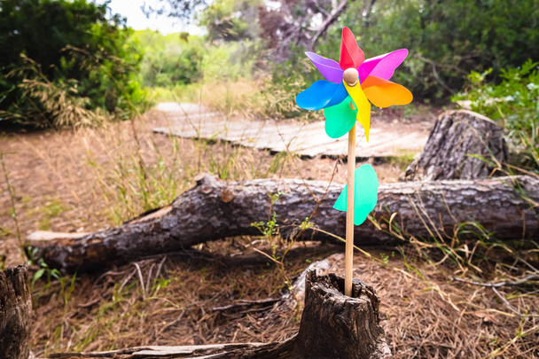 Kinderspielzeug Windrad auf einem Pfad im Wald, Konzept des guten d - Foto, Bild