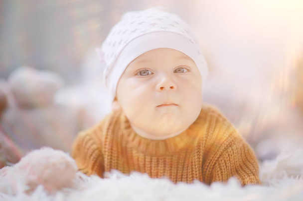 kid in a warm sweater child boy / portrait seasonal clothes, warm knitted sweater on a child, autumn portrait - Foto, afbeelding