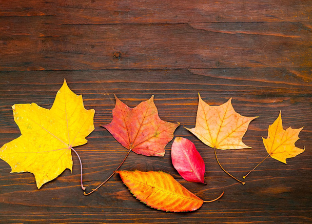 Цветные осенние листья на деревянном фоне - Фото, изображение