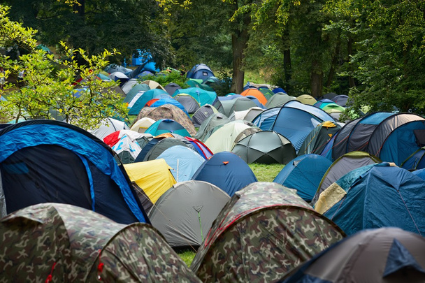 Много палаток в природе
 - Фото, изображение