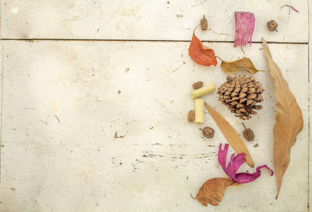 Autumn composition Dry leaves, pinecone, flowers, rowan berries on white wood. Autumnal, autumn, thanksgiving day concept. Flat view, top view. - Photo, image