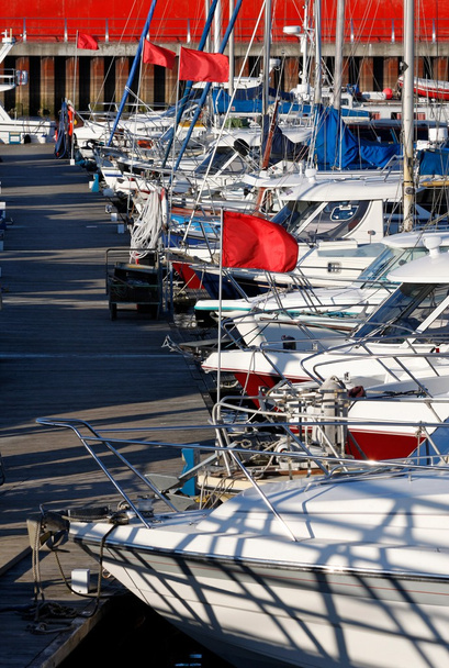 Yachts moored in a marina - Photo, image