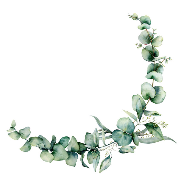 Watercolor eucalyptus border. Hand painted eucalyptus branch and leaves isolated on white background. Floral illustration for design, print, fabric or background. - Photo, image