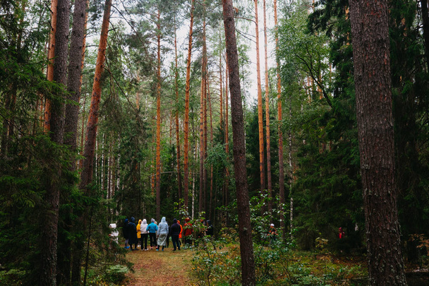 Group of tourists on hike in mountains. Mass tourism in dense forest. Travel concept.  - Zdjęcie, obraz