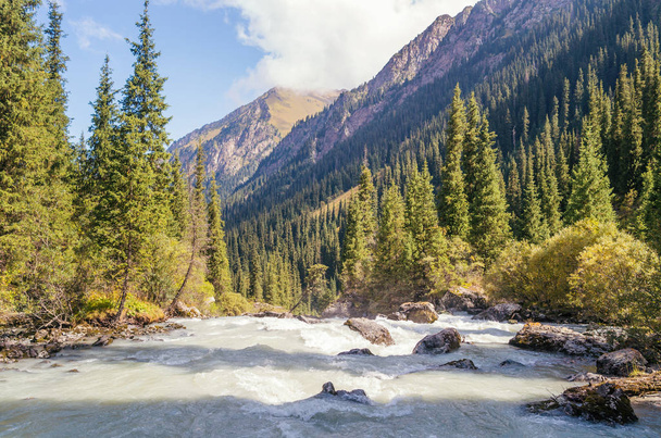 Fast river in the mountains. - Photo, Image