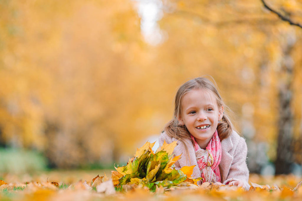 Ritratto di adorabile bambina con bouquet di foglie gialle in autunno - Foto, immagini