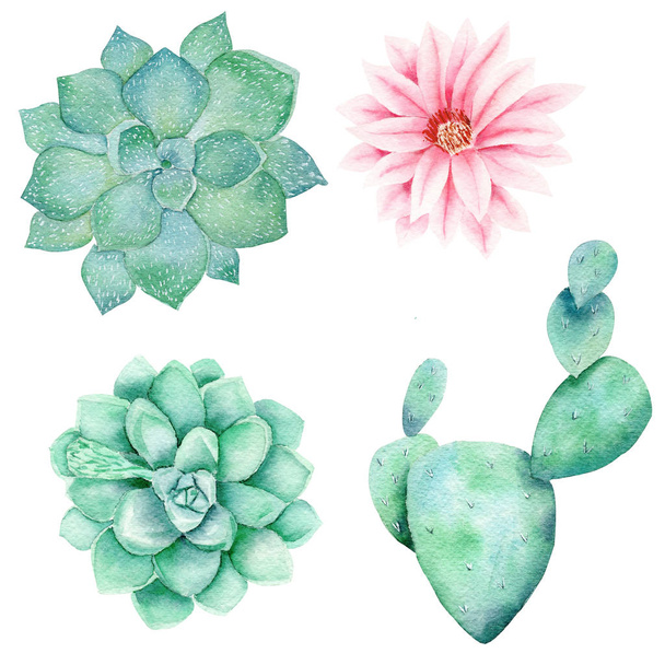 Garden flora hand drawn watercolor raster illustration set - Photo, Image
