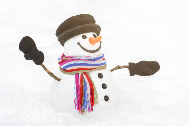 Bonhomme de neige dans une robe lumineuse avec un sourire doux
 - Photo, image