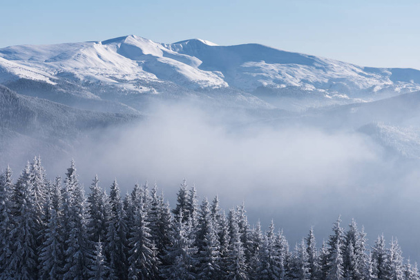 Kış dağlarda - Fotoğraf, Görsel