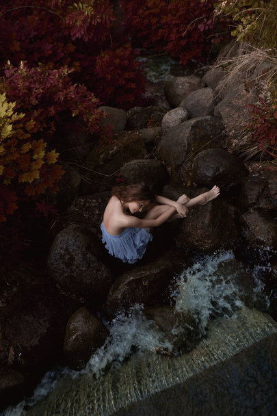 Beautiful woman in fairy forest - Foto, Imagen