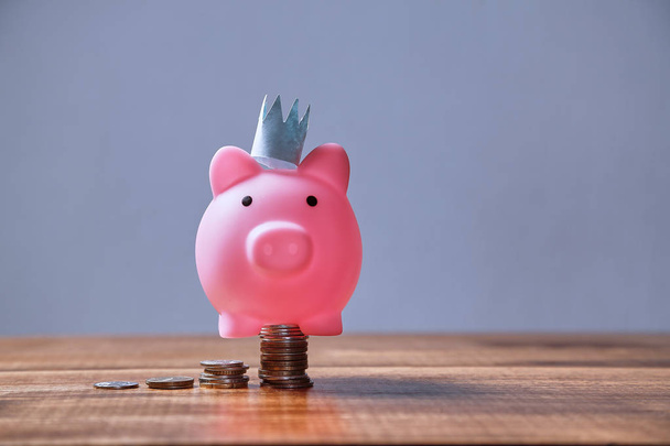 Earning, finance, investment, development and stock market concept. Pink piggy with a crown - Photo, Image