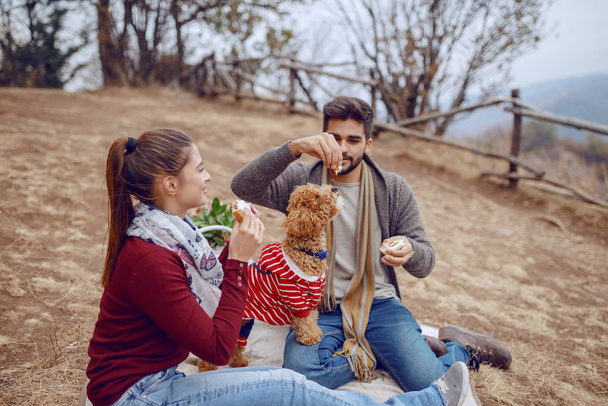 Alegre linda pareja multicultural sentado en manta en el picnic y perro de alimentación con sándwich. Temporada de otoño
. - Foto, imagen