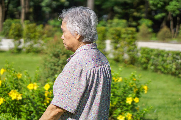 Asiatica anziana o anziana signora anziana paziente camminare con walker nel parco: sano forte concetto medico - Foto, immagini