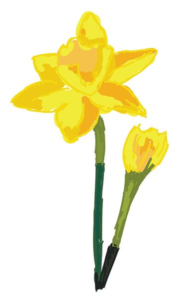 Flor amarela, ilustração, vetor sobre fundo branco. - Vetor, Imagem