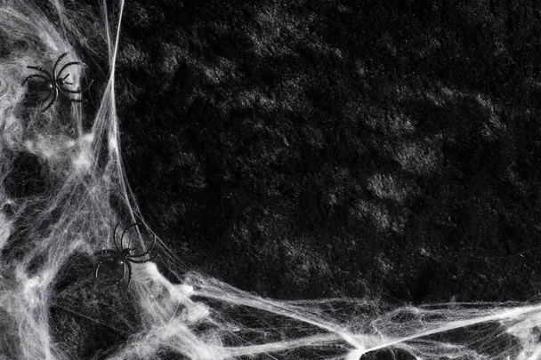 Halloween holiday background concept with a spider web and spider. - Foto, Imagem