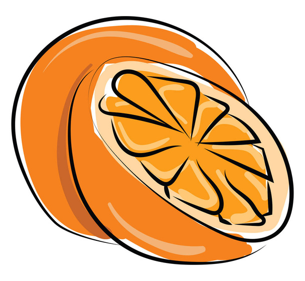 Orange, illustration, vector on white background. - Διάνυσμα, εικόνα