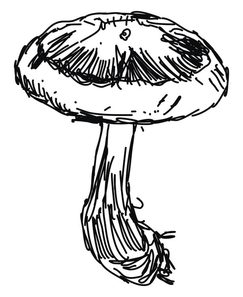 Dessin champignon, illustration, vecteur sur fond blanc
. - Vecteur, image