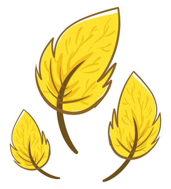 Yellow leaves, illustration, vector on white background. - Vector, imagen