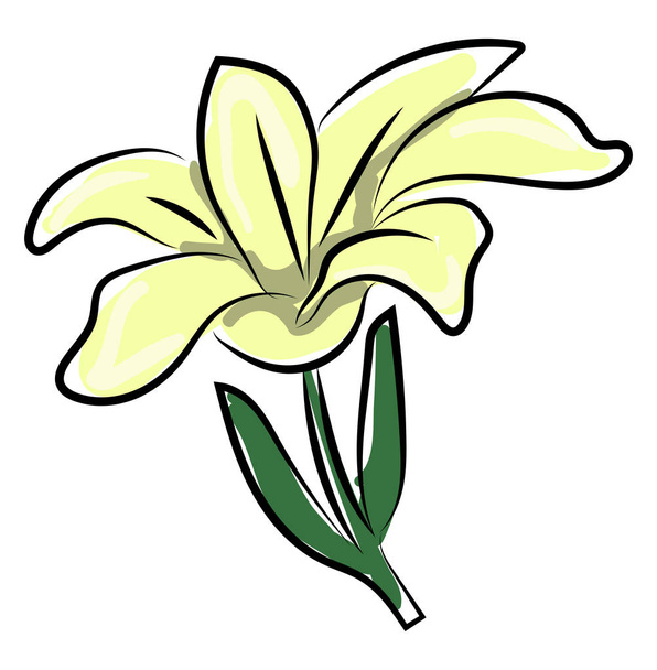 Weiße Blume, Illustration, Vektor auf weißem Hintergrund. - Vektor, Bild