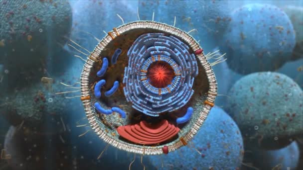 3D vědecká animace vnitřní struktury buňky - Záběry, video