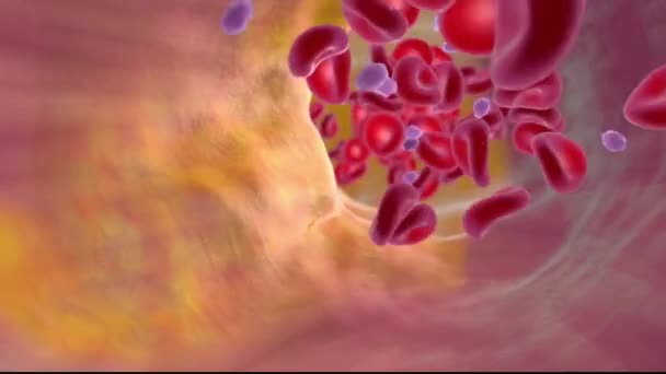 La coagulation est un processus par lequel le sang passe d'un liquide à un gel, formant un caillot sanguin.. - Séquence, vidéo