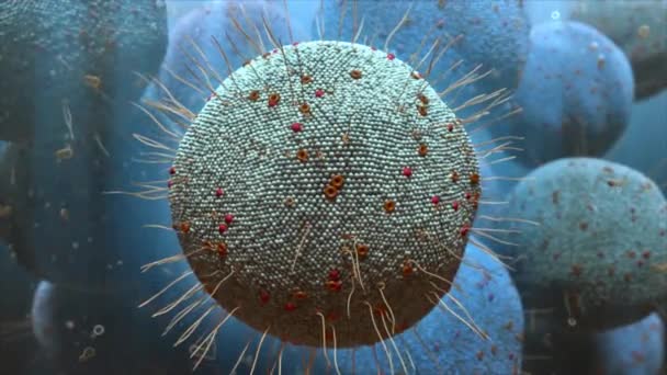 Hücrenin iç yapısının 3D Bilim animasyonu - Video, Çekim
