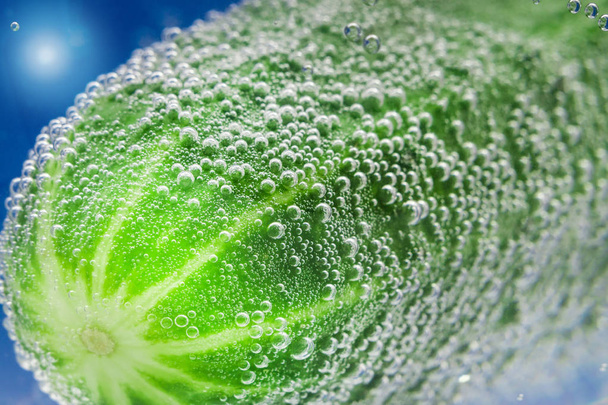 verse groene komkommer - Foto, afbeelding