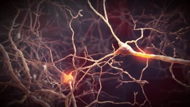 Sygnały neuronowe w mózgu - Materiał filmowy, wideo