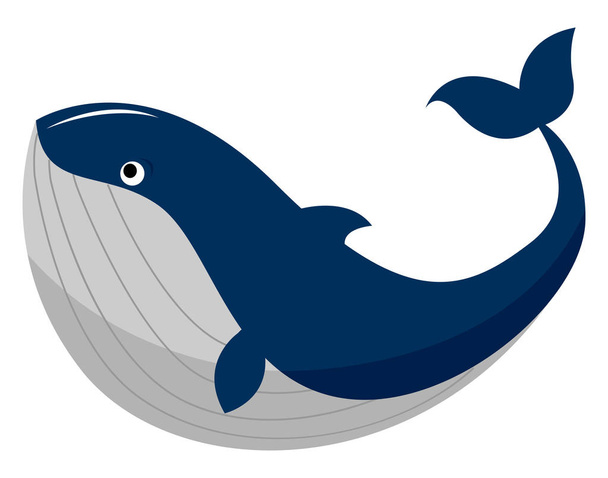 Grote walvis, illustratie, vector op witte achtergrond. - Vector, afbeelding